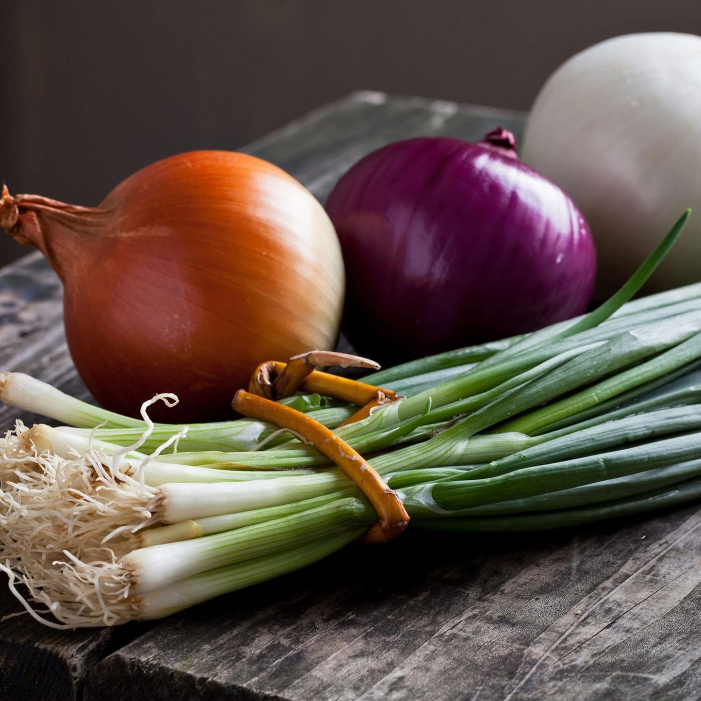 Sets 1 Bulbs Stargazer Perennials Yellow Stuttgarter Onion Pound | Naturally Grown Non-GMO - Easy To Grow