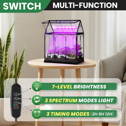 Meonum Tiny Glass Terrarium Kit with Grow Light, Venus Fly Trap Terrarium with Absorbent Mat, Timer&3 Light Modes for Succulent Live Air Plants Indoor Home Office Decor (7.1"x 4.7"x 8.7",USB Powered)