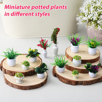 Toyvian 1:12 Dollhouse Miniature Potted Plants, 13pcs Tiny Faux Greenery Bonsai Models Miniature Fairy Garden Accessories Ornaments Doll House Decor Set for DIY Projects Collectors