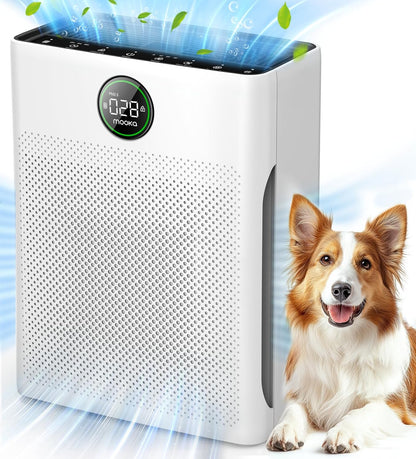 M200L Air Purifier - Ideal for Large Rooms Up to 2200ft² | PR1 Air Purifier with Air Quality Sensor