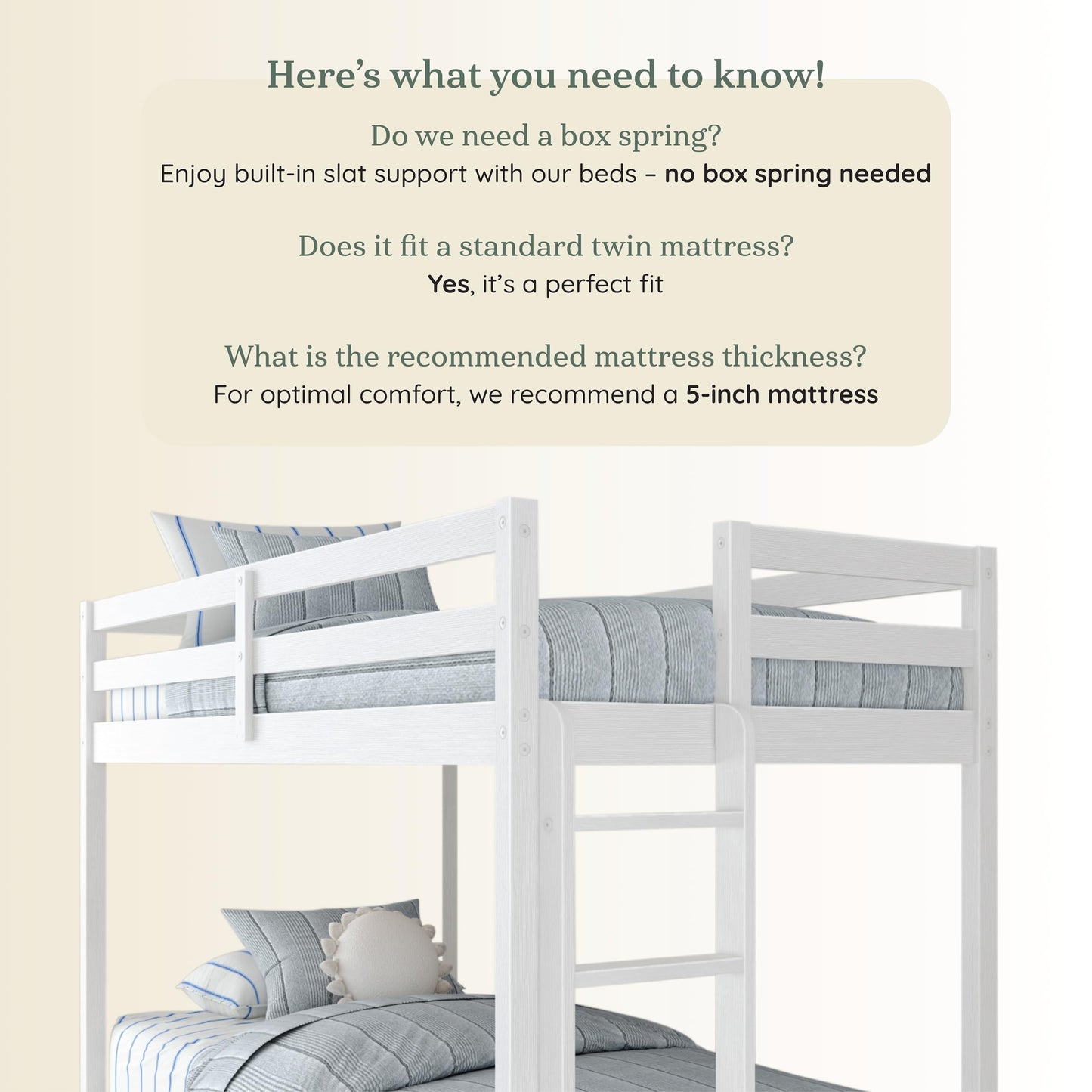 Grain & Grove Bear Twin Over Twin Bunk Bed, Sturdy Bunk Bed Frame for Kids, Plywood Bunk with Ladder, Guardrail, and Slats, No Box Spring Required, Brushed White