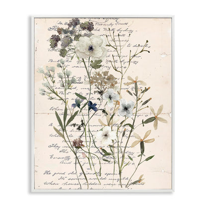 Stupell Industries Vintage Pressed Flowers White Framed Giclee Wall Art Design by Carol Robinson, 11 x 14
