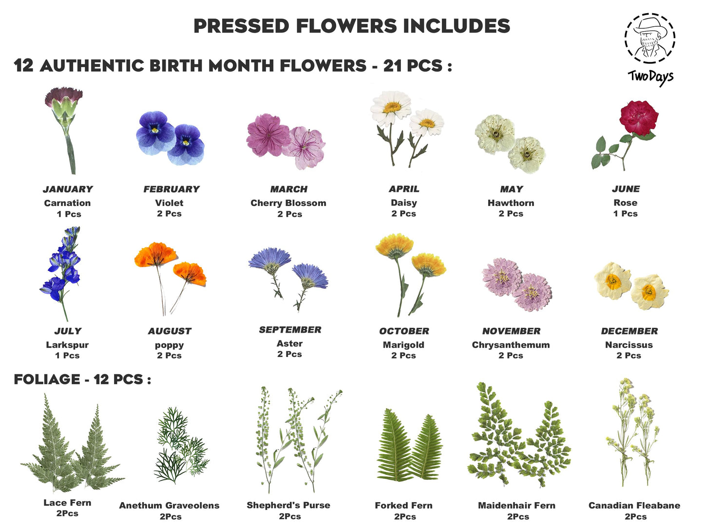Twodays Birth Flower Mother's Day Craft Kit for Mom/Grandma - 33 Real Pressed Flowers Art DIY Set, With 8x10 Double Glass Frame & Tools, Unique Handmade Birthday Christmas Gift from Daughter (Natural)
