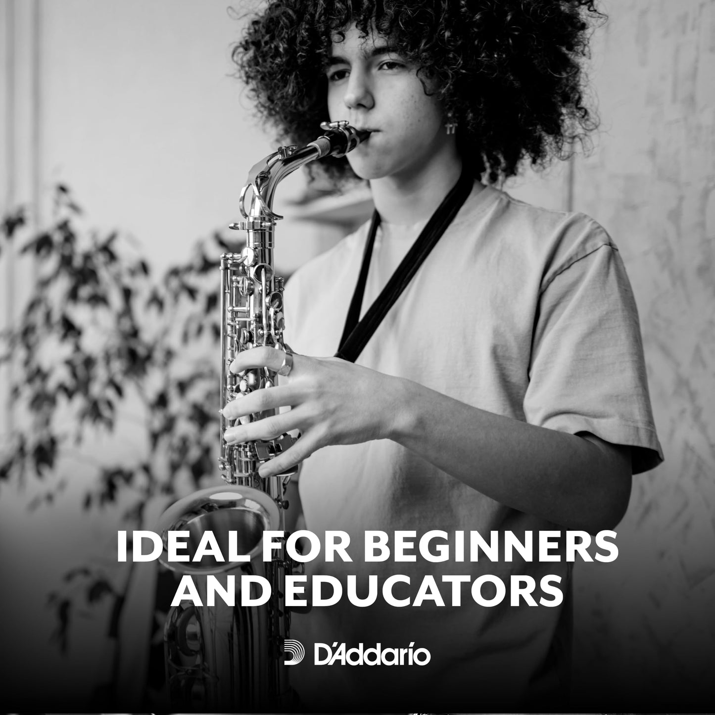 D’Addario Woodwinds, Rico Saxophone Reeds, Alto Sax, RJA1025, Strength 2.5, 10-Pack