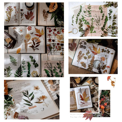 Maxleaf Botanic Series Sticker, 80PCS Large Dried Flowers Waterproof Transparent Stickers, PET Nature Plant Floral Stickers for Journaling Scrapbooking, Clear Flower Decals