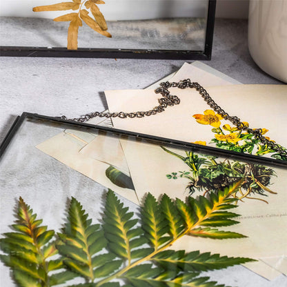 NCYP Hanging 8" x10" Black Glass Floating Frame for Pressed Dried Flower, Certificate, Photo, Picture - Modern Home Indoor Wall Vertical Decor, Plant Specimen Clip (Glass Frame Only)