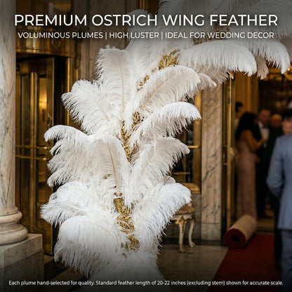 Lamar 10 Pcs XXL White Ostrich Feathers 20-22 Inch Large Ostrich Feathers with Thick Pole, Voluminous, High-Luster Perfect for Weddings, Centerpieces, DIY Decor, Photography