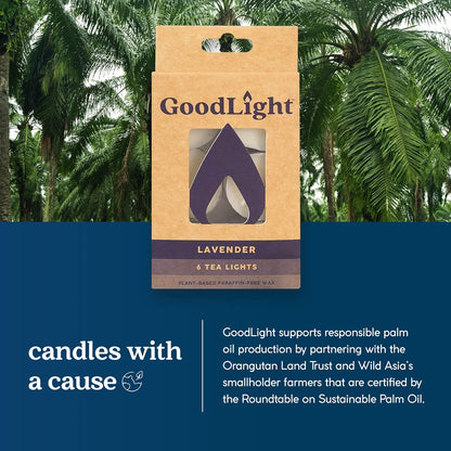 Paraffin-Free Scented Tea Light Candles, Lavender Scent, 6 Tea Lights, 4-Hour Burn Time