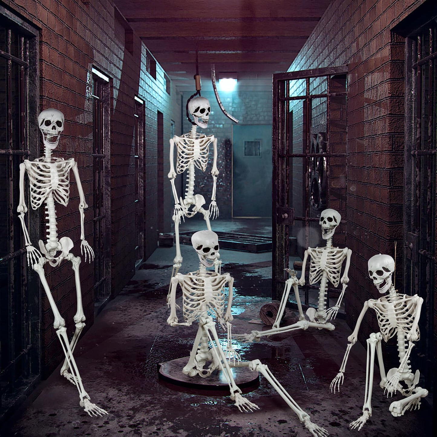 5.9ft Halloween Life Size Skeleton Realistic Full Body Skeletons Plastic Human Bones with Movable Joints for Halloween Props Spooky Party Decoration