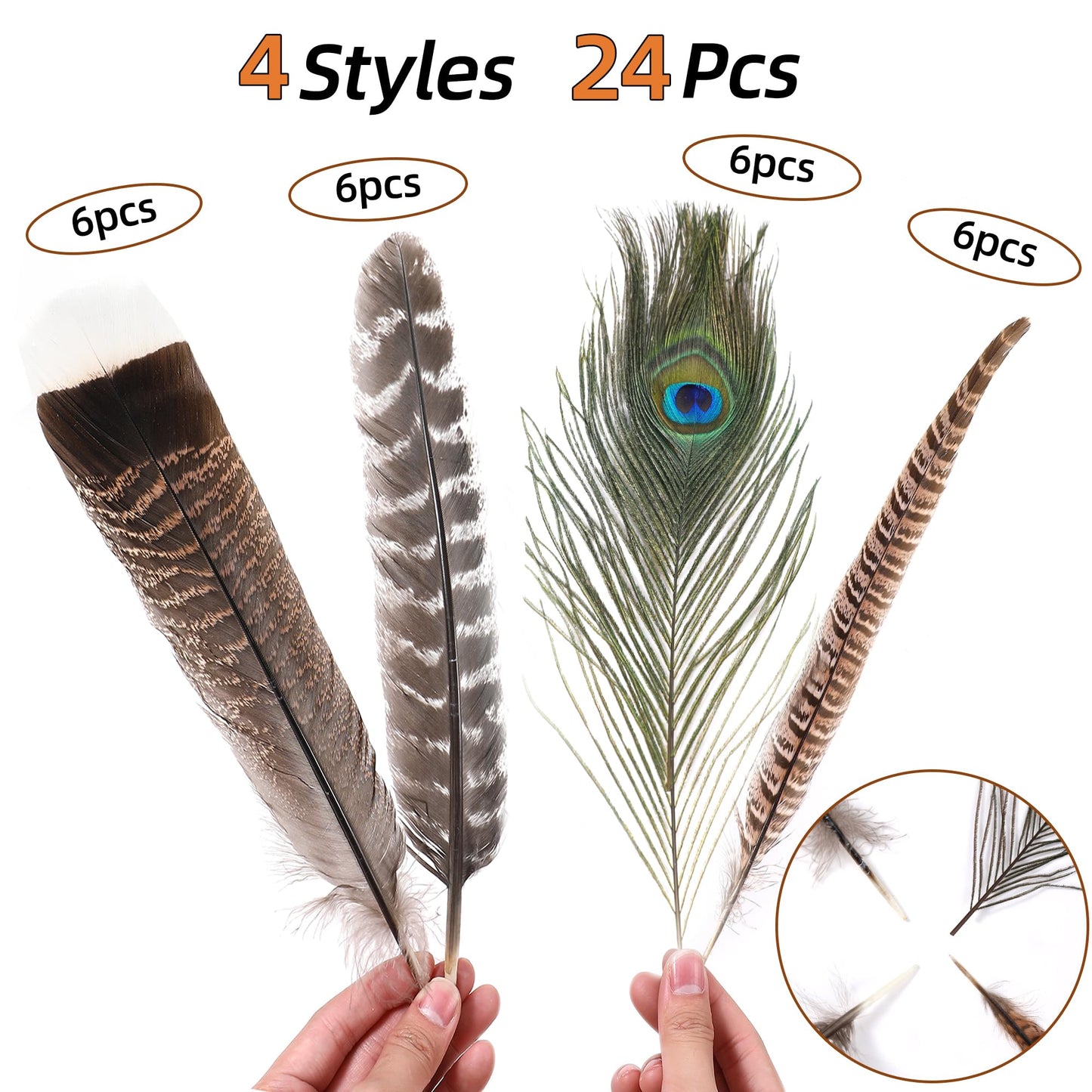 Ballinger 8-12inch 4 Styles 24Pcs Assorted Pheasant Feathers and 12Pcs 24-26inch Black Ostrich Feaathers for Crafting Vase Hat Wedding Autumn Party Decor