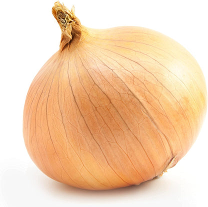 Sunutri Seeds 200+ Onion Seeds, Yellow Sweet Spanish, Heirloom, Non GMO Seeds, Allium cepa