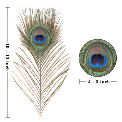 Larryhot Natural Peacock Feathers Bulk - 40pcs 10-12 inches Feathers for DIY Crafts, Wedding, Home and Holiday Party Decorations