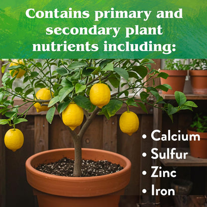 6-3-3, 1 lb Down To Earth All Natural Fertilizers Organic Citrus Mix - Plant Food for Lemons, Limes, Oranges