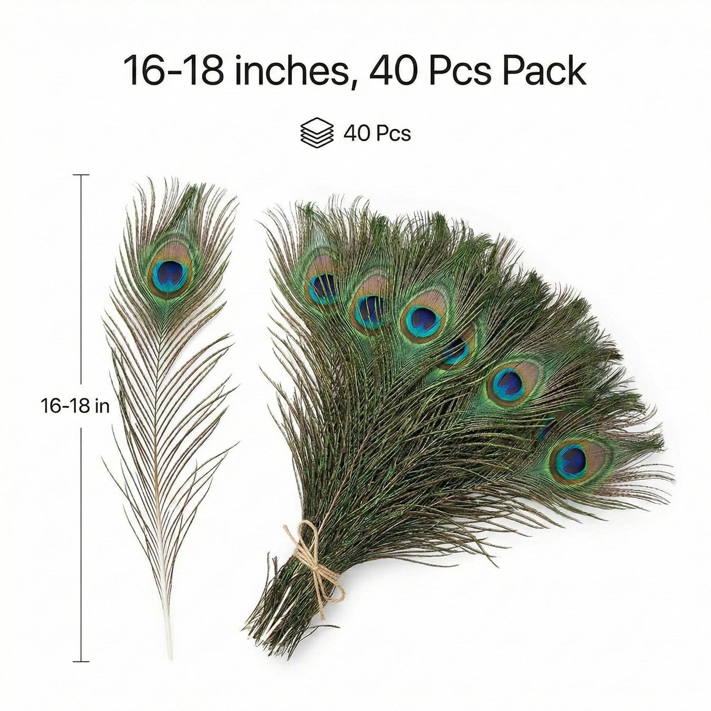 Lamar Peacock Feathers Bulk 16-18 Inch 40 Pcs Long Feathers with Large Eyes – Ultimate Bundle for Tall Vases, Wedding Centerpieces, Home Decor, Costumes, and DIY Crafts