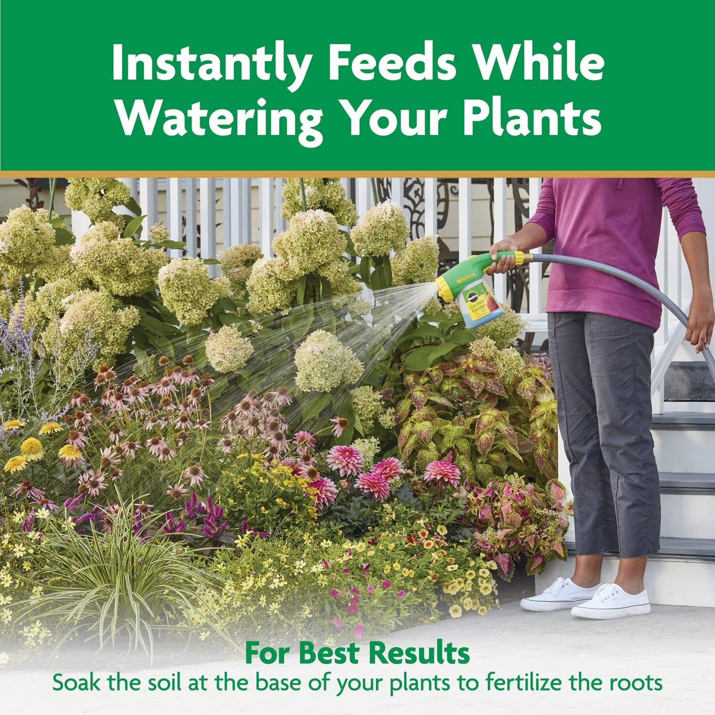 Miracle-Gro All-Purpose Plant Food - Water Soluble Fertilizer for Indoor & Outdoor Plants | 6.25 lbs