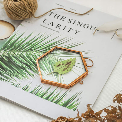 NCYP Hanging Small Rose Gold Hexagon Herbarium, Side Length 1.9 inches Handmade Copper Floating Frame for Pressed Dried Flowers Plants, Double Glass, Wall Decor, Glass Frame Only