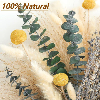 Dried Pampas Grass Bouquet – Boho Pampas Grass Decor for Home, Vase Fillers & Wedding — Natural Dried Flowers, Tall Pampas Grass for Floor Vase, Coastal, Scandinavian & Boho Room Decor (No Vase)