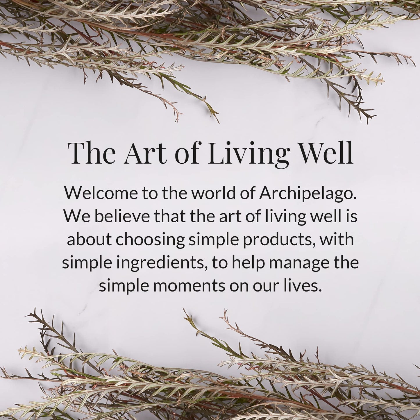 Archipelago Botanicals Stonehenge Glass Jar Candle, Cedarwood, Citrus Bergamot and Amber Scent, Lead-Free Candle Wicks, Burns Approx. 60 Hours (8.6 oz) (Pack of 2)