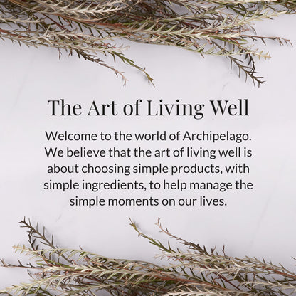 Archipelago Botanicals Stonehenge Glass Jar Candle, Cedarwood, Citrus Bergamot and Amber Scent, Lead-Free Candle Wicks, Burns Approx. 60 Hours (8.6 oz) (Pack of 2)