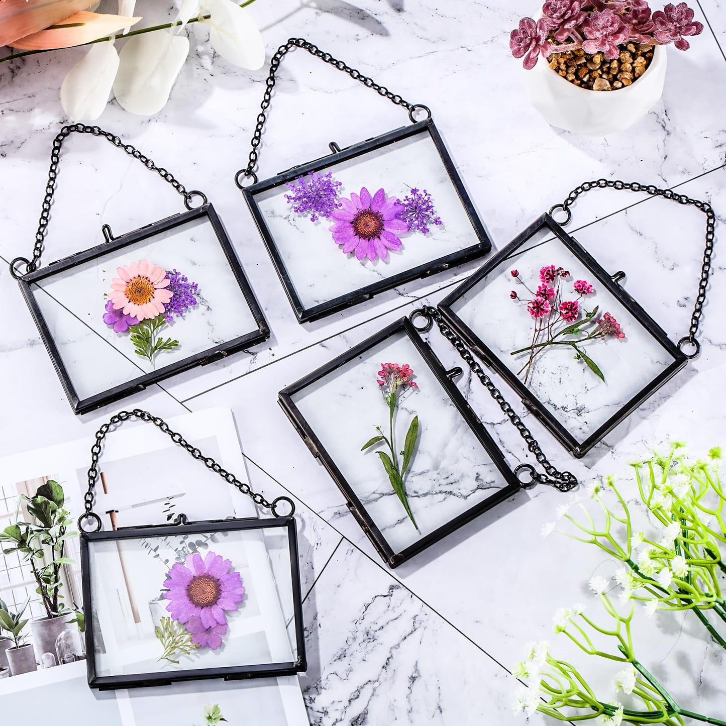 Thyle 8 Pieces Pressed Flower Frames, 3.5 x 2.5 Inch Wall Hanging Double Glass Picture Frames with Chain, Clear Floating Display for Dried Flowers Plants Wall Decor Artwork DIY Family Photo