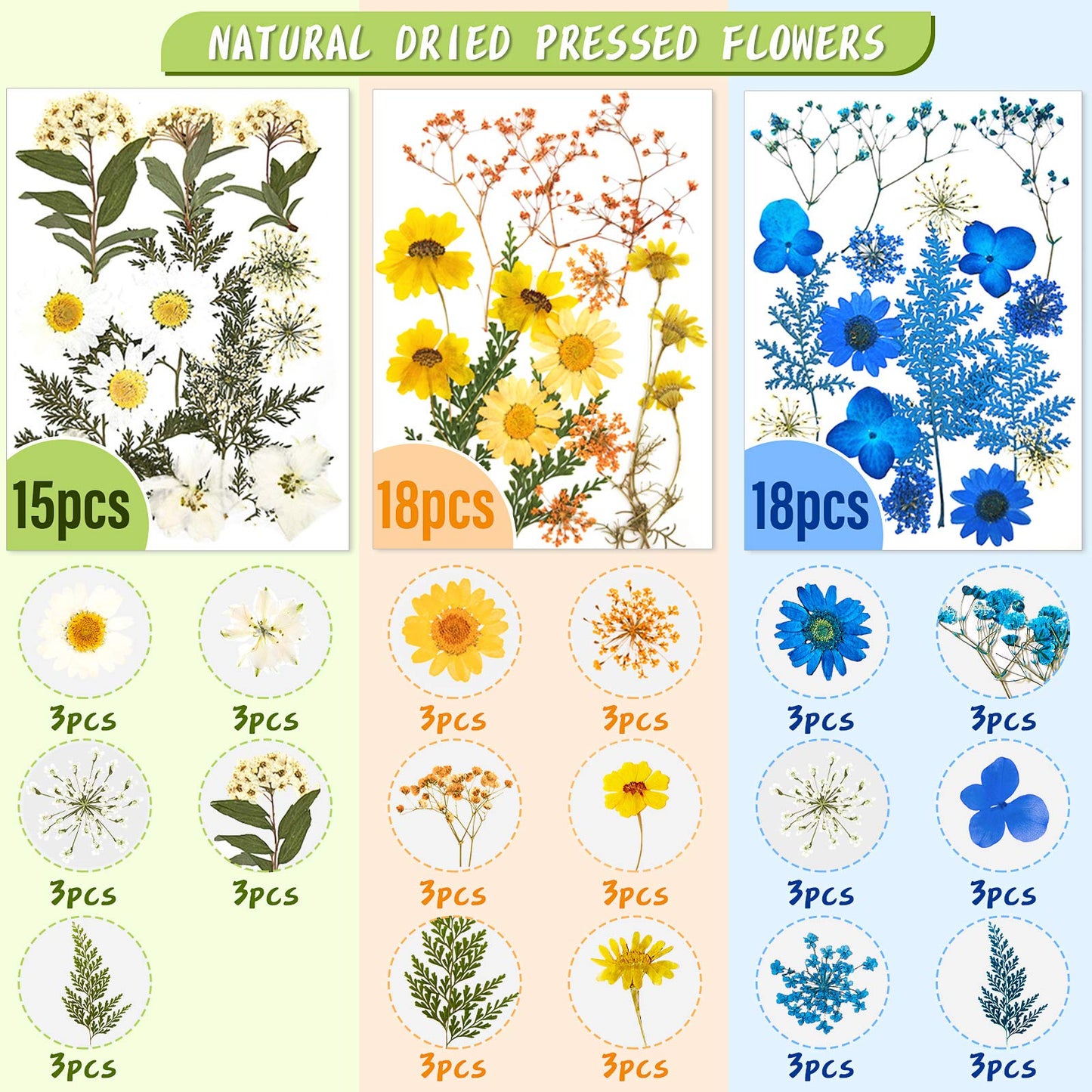 Nuanchu 167 Pcs Real Dried Pressed Flowers Natural Dried Flowers Colorful Daisy Mixed Wildflowers Leave for DIY Candle Resin Nails Jewelry Pendant Crafts Floral Art(Multicolor,Lovely Style)