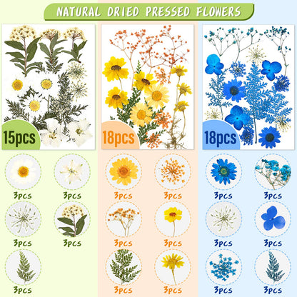 Nuanchu 167 Pcs Real Dried Pressed Flowers Natural Dried Flowers Colorful Daisy Mixed Wildflowers Leave for DIY Candle Resin Nails Jewelry Pendant Crafts Floral Art(Multicolor,Lovely Style)