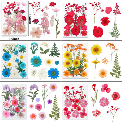 NESCCI 428 Pcs Dried Pressed Flowers for Resin,Real Nature Dried Flowers for Crafts Bulk Dry Flowers Leaves Kit Used for Resin Molds Scrapbooking DIY Art Crafts Candle Soap Making Nails Décor