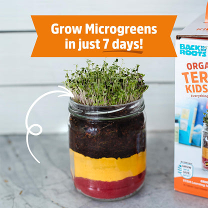 Back to the Roots Terrarium Grow Kit - Easy-to-Use DIY Set for All Ages Small