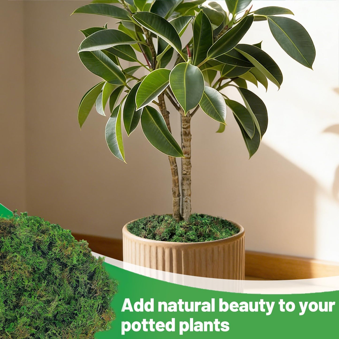 17oz Large Pack Natural Green Moss for Plants Indoor - Dried Forest Real Moss for Crafts, Artificial Fairy Gardens, Mosswall, Glass Terrariums, Floral Design, Home Decor