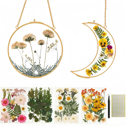 Pressed Flower Frame Kit, Sun and Moon Double Glass Hanging Frames with 68 Dried Flowers, Gold Botanical Wall Decor DIY Craft Kit for Adults, Flower Lover Gift for Mother’s Day & Birthday
