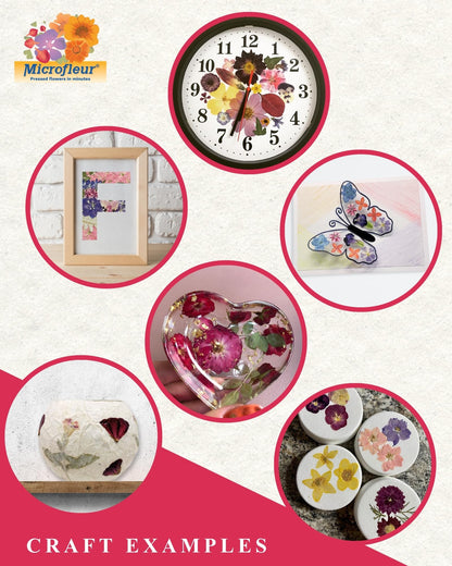 Microfleur Microwave Flower Art Press Kit for Kids and Adults - DIY with Washable Absorbent Cloth, Ideal for Plant Lovers 5 inch
