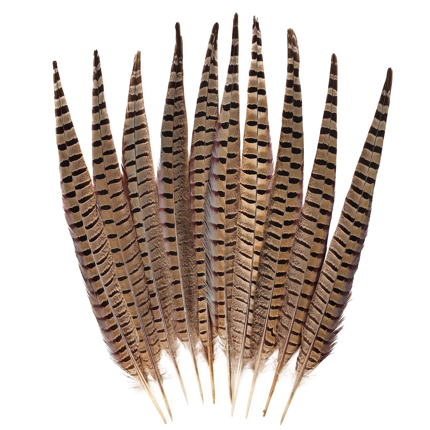 FeelfunFeather 5pcs Pheasant Feather 16-18inch 40-45cm Natural Male Ringneck Tails Feathers for DIY Crafts Home Wedding Party Carnival Decoration