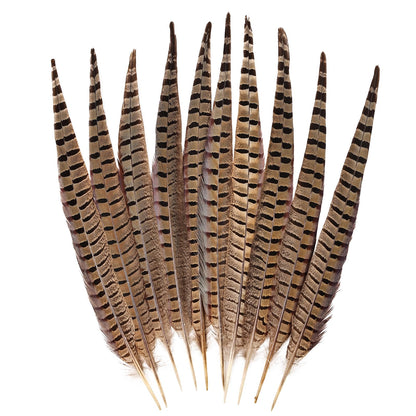 FeelfunFeather 5pcs Pheasant Feather 16-18inch 40-45cm Natural Male Ringneck Tails Feathers for DIY Crafts Home Wedding Party Carnival Decoration