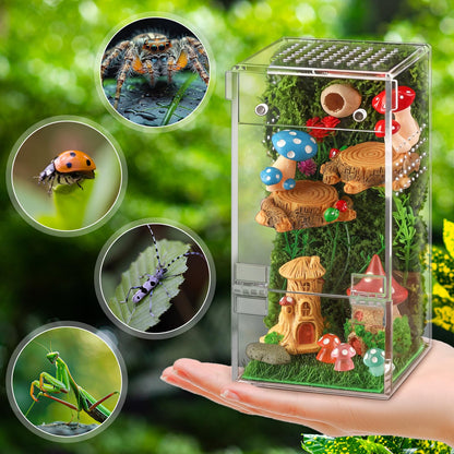 Jumping Spider Enclosure Kit Acrylic Terrarium Reptile Enclosure Accessories Insect Habitat for Mantis Tarantula Snail (Small)