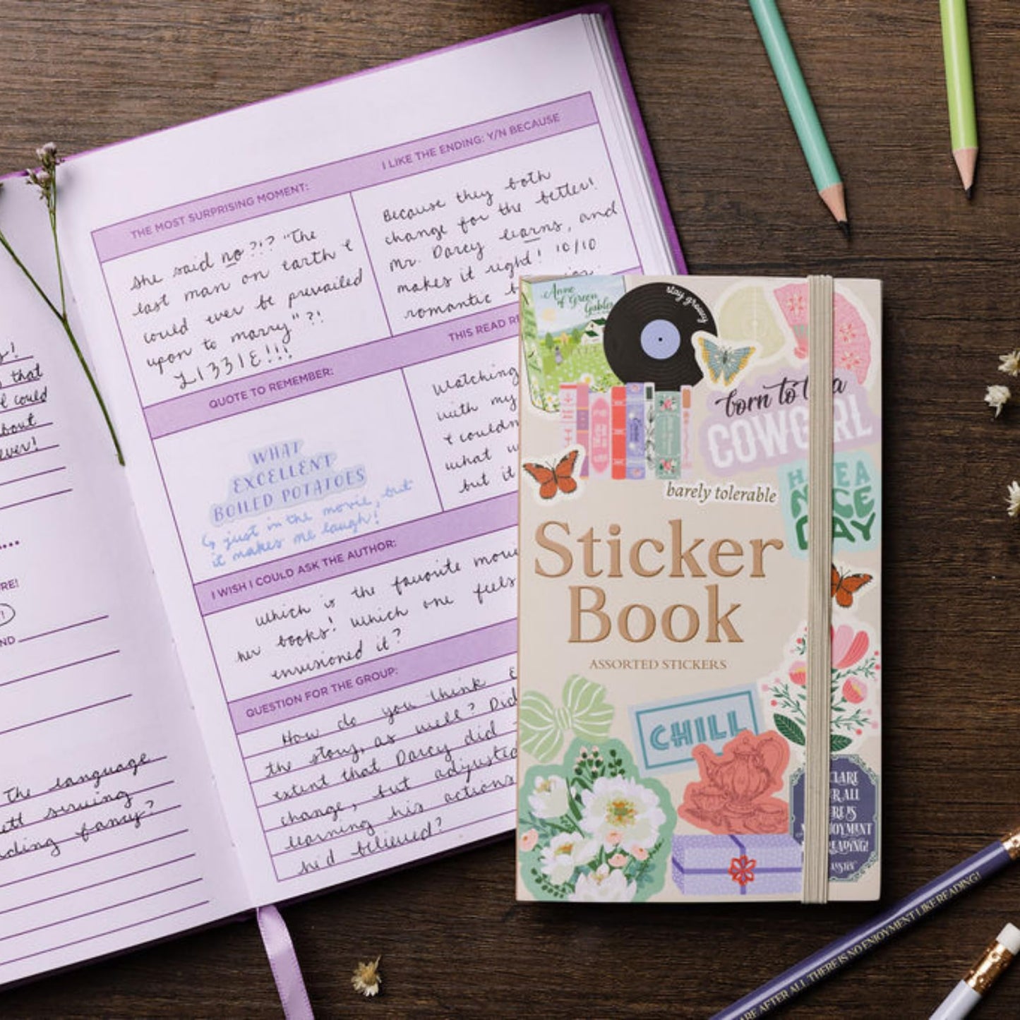 Steel Mill & Co Assorted Sticker Book, 35 Sheets with Hundreds of Paper Stickers, Aesthetic Icons, Bookish Quotes & Illustrations, Planner & Journal Stickers with Elastic Closure (Volume 1)