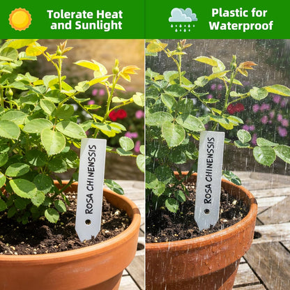 EMBRASUN 350 (350PCS) Plant Labels PCS, Slim White Garden Plant Tags with Holes, PP Plastic Waterproof Labels