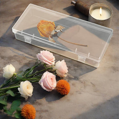 Forever bene 6 Pack Clear Plastic Storage Boxes with Hinged Lids, 6x2.6x1.2 Inches Long Rectangular Organizer for Diamond Art Accessories, Beads, Crafts