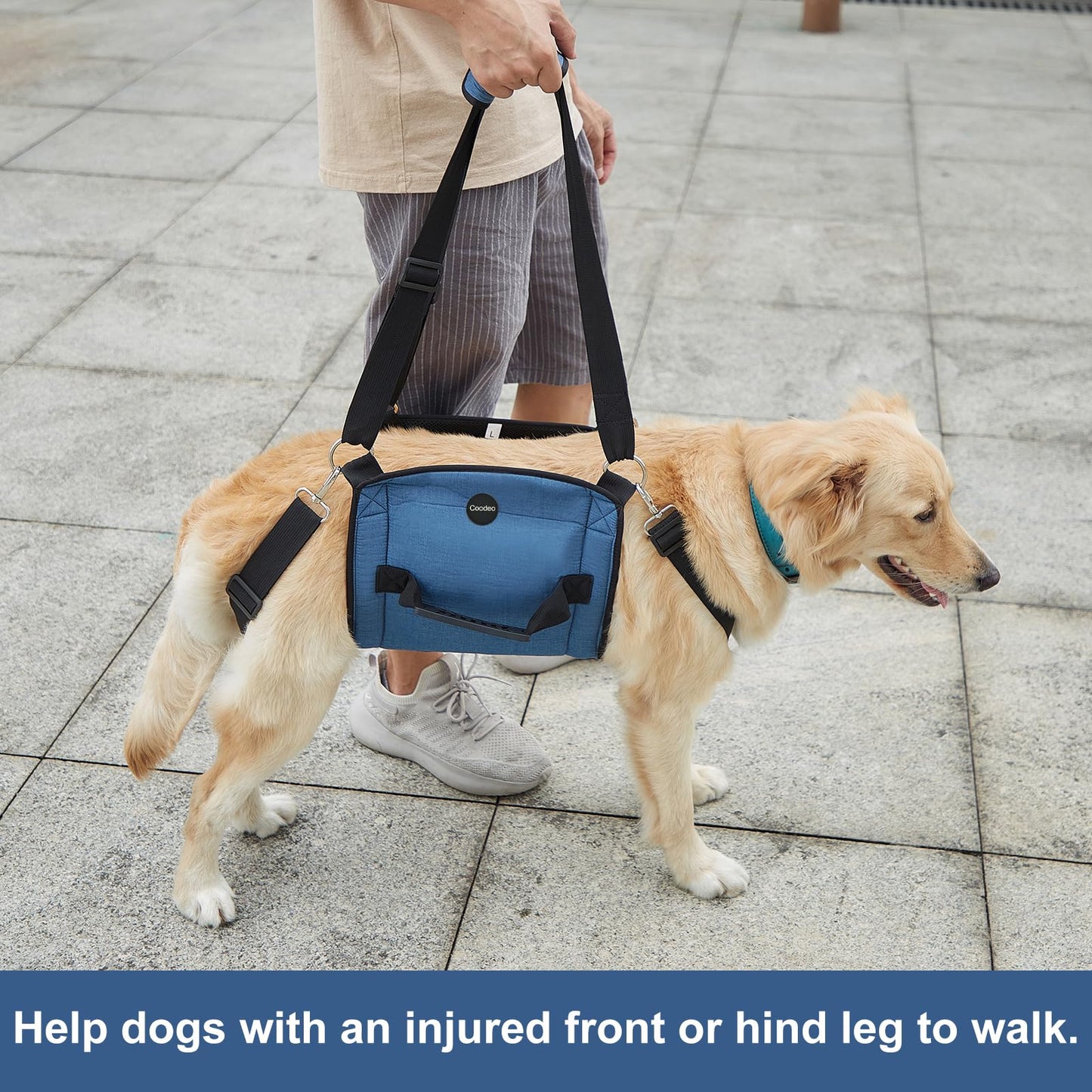 COODEO Dog Carry Sling, Emergency Backpack Pet Legs Support & Rehabilitation Dog Lift Harness for Nail Trimming, Dog Carrier for Senior Dogs Joint Injuries, Arthritis, Up and Down Stairs(2XL, Blue)
