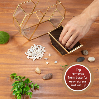 D'Eco Glass Heart Centerpiece (8x8x2.5)- Tabletop Planter Terrarium - Spring Home Decor & Wedding Letterbox - Fill with Succulents, Cacti, Air Plants, Moss, Flowers for Plant Lovers