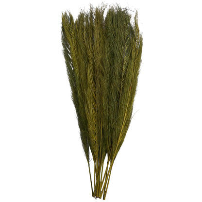 Deco 79 Dried Plant Leaves Home Decor Natural Foliage Natural Dried Foliage with Feather Inspired Stems, Foliage for Decoration 4" x 1" x 35", Green