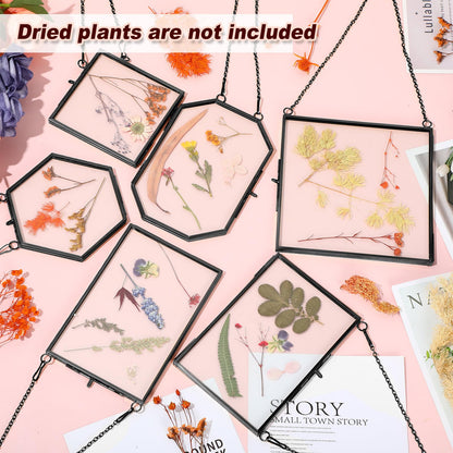 Soaoo 12 Pcs Brass Glass Frame for Pressed Flowers with Chain Clear Double Glass Floating Artwork Display Frame for Wall Decor with Dried Plant Leaf, 6 Shapes (Black)