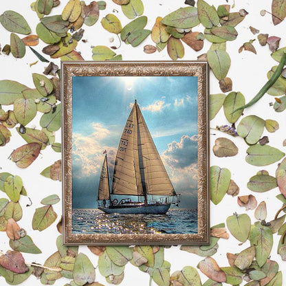 WUIVCTR DIY Oil Painting, Painted by The Adult's Digital Set Sparkling Lake Sailing Boat,16''x20''