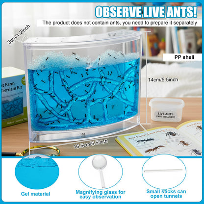 Acellegic Ant Farm Terrarium Kit Giant Ant Farm Large Viewing Area Care for Live Ants Nature Learning DIY Kit Great Gift(Classic Style,Blue)