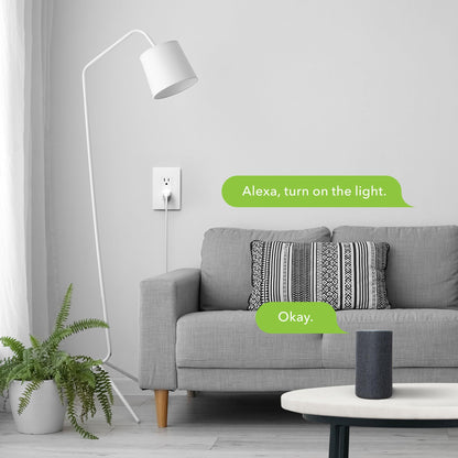 BN-LINK Smart Electrical Outlet with 2 Controlled Plugs and Type-C Charging, in-Wall Smart Wi-Fi Outlet with Voice and APP Remote Control, Compatible with Alexa and Google Assistant, 2.4GHz Wi-Fi Only