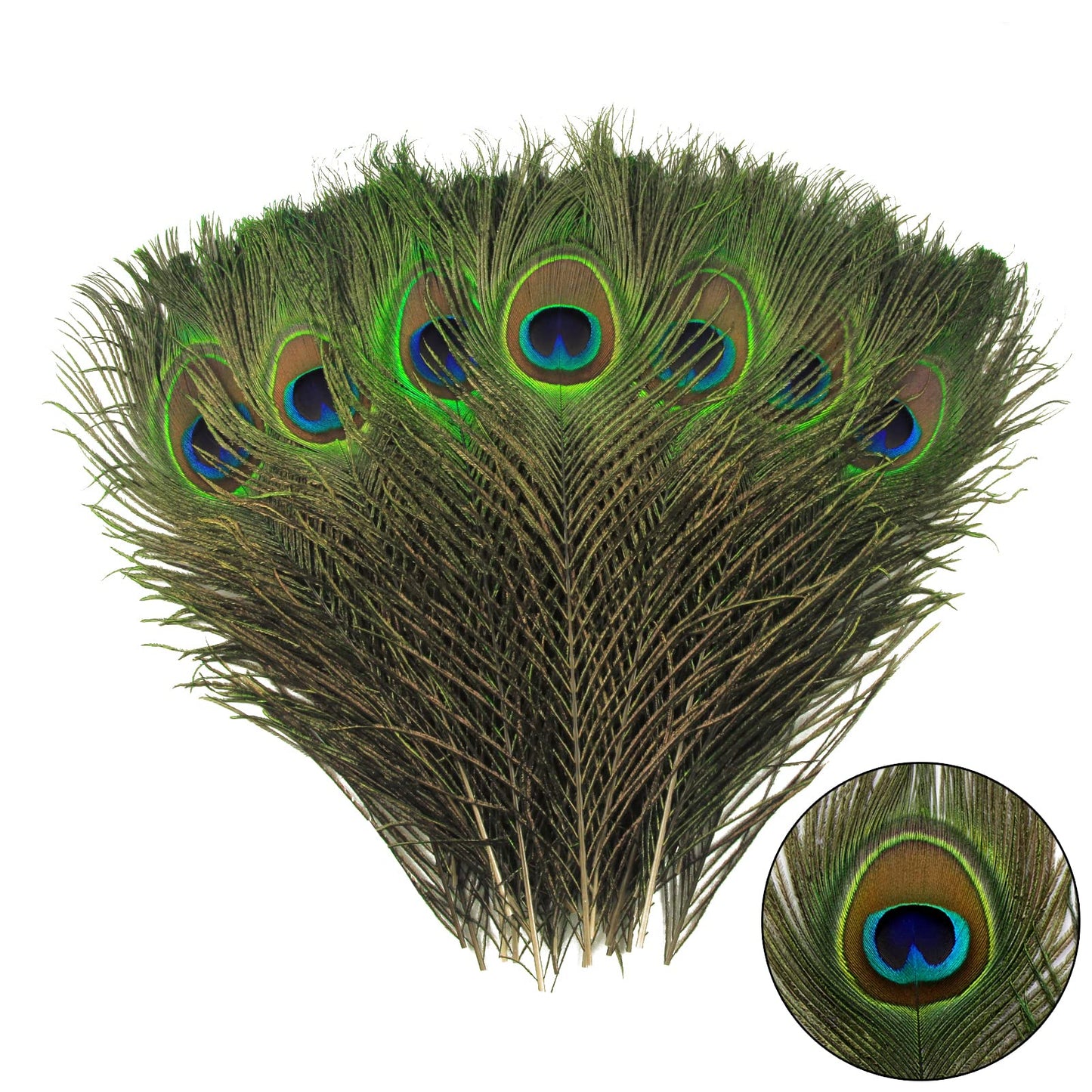 THARAHT 120pcs Peacock Feather Natural in Bulk 10-12 inch 25-30cm for Craft Vase Wedding Home Party Christmas Day Decoration Peacock Feathers