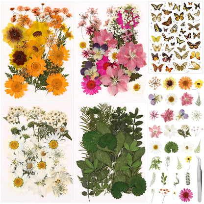Solsew 160 Pcs Dried Pressed Flowers for Resin Set Natural Pressed Flowers with Butterfly Stickers for Crafts DIY Jewelry Floral Decors Making Nail Art(Wildflower,Light Yellow)