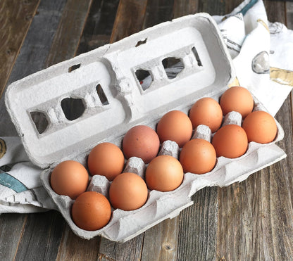 1 Dozen (Pack 15) MT Products Natural Pulp Jumbo Egg Cartons - Disposable Egg Storage Container of - Made in the USA