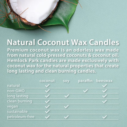 Hemlock Park Blood Orange Sage Apothecary Scented Candle | Crackling Wood Wick, Botanical Fragrance & Coconut Apricot Wax | Up to 60 Hour Burn Time | 8 oz | Made in USA
