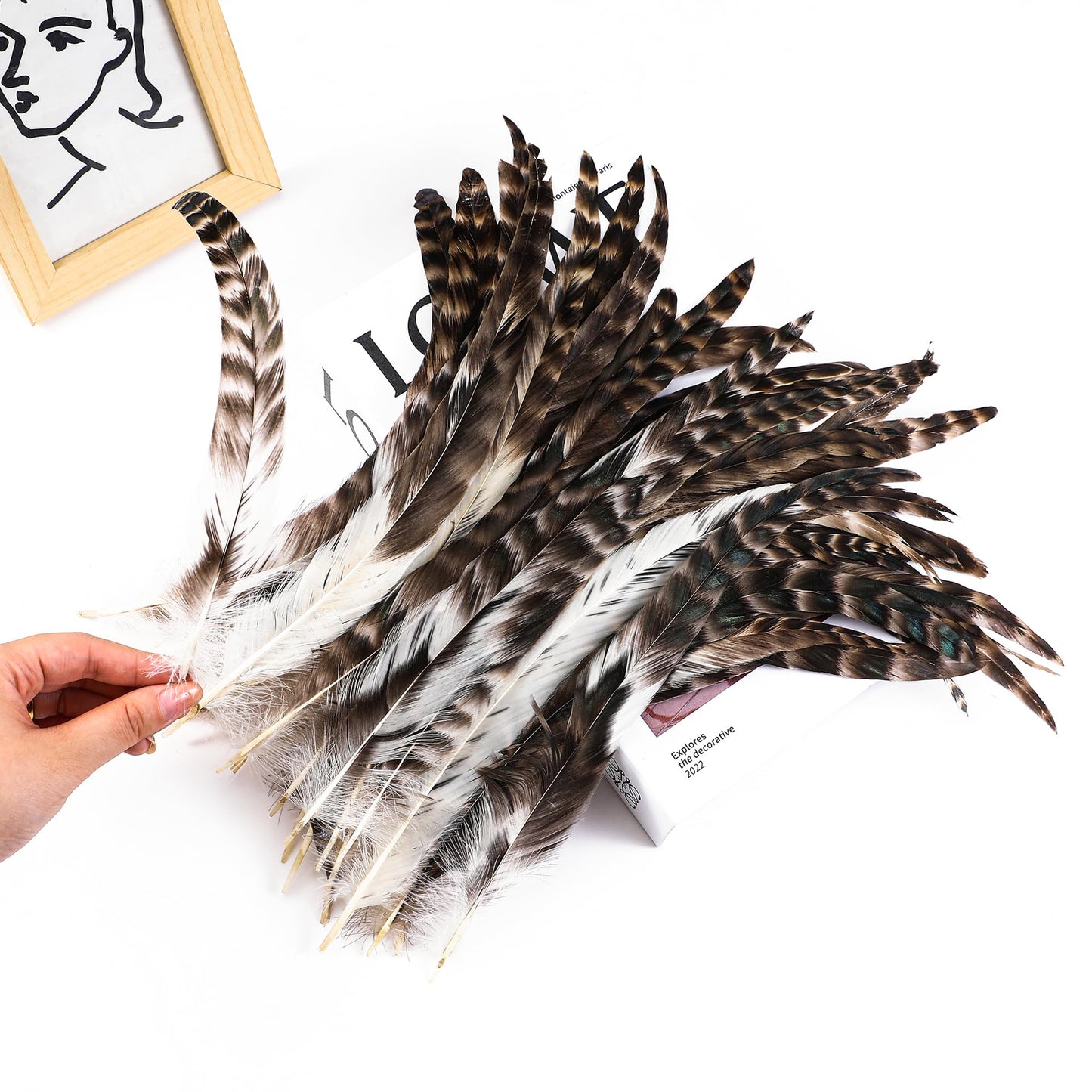 Holmgren Natural Chinchilla Feathers Bulk - 60pcs 12-14inch Natural Long Rooster Chinchilla Tail Feathers Bulk for DIY Crafts Hats Costume, Holiday Themed Party Decoration (Chinchilla)