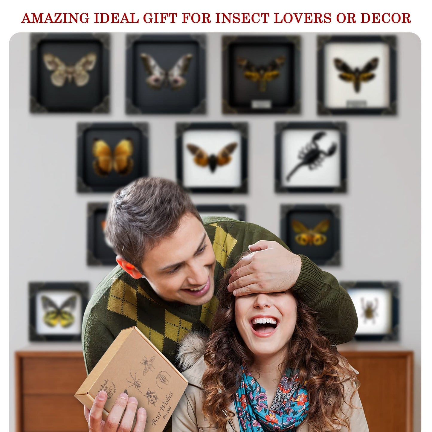 Real Framed Butterfly Gifts for Women Entomology Insect Dried Shadow Box Taxidermy Specimen Display Oddities Curiousities Tabletop Wall Hanging Home Decor K12-11-KINH